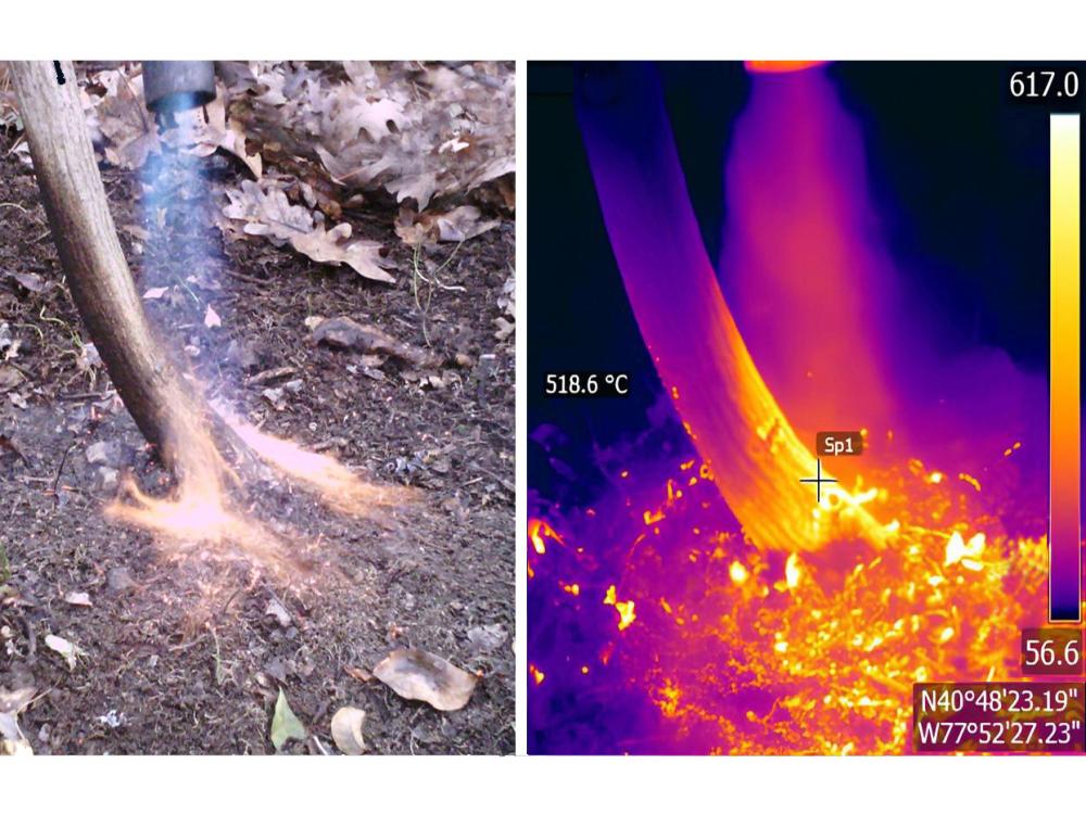 Side-by-side visual and infrared images of a plant stem being scorched by a BTU torch.