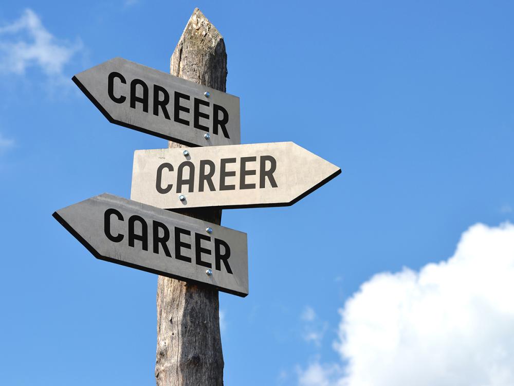 Wooden signpost with three directional signs labeled CAREER against a blue sky with clouds