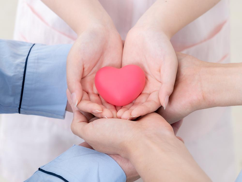 Several hands hold a pink heart-shaped object together against a light background
