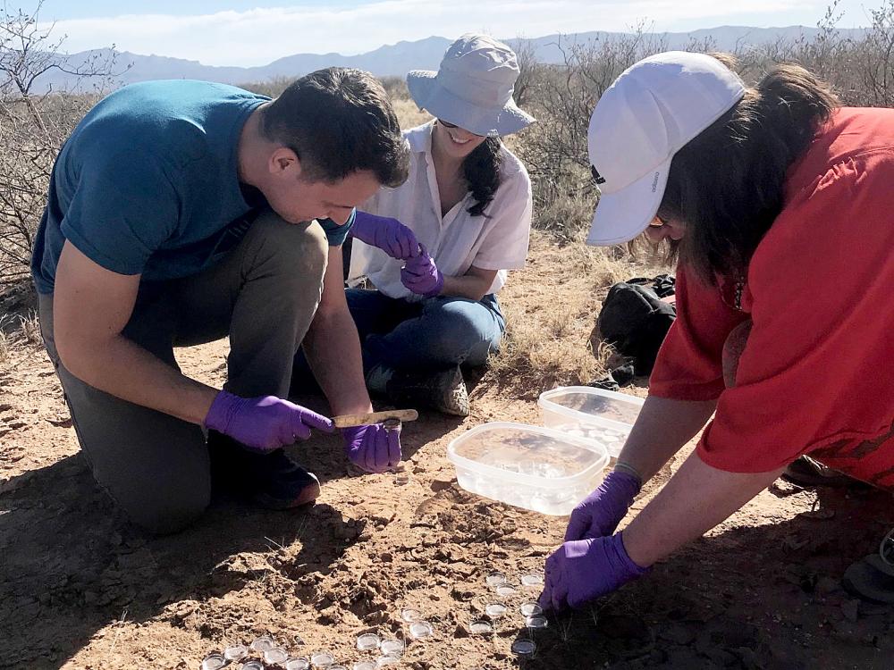 researchers taking soil samples