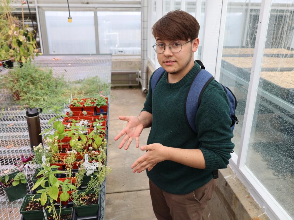 Grayson Lauer talking and gesturing to plants on a grow table inside a headhouse