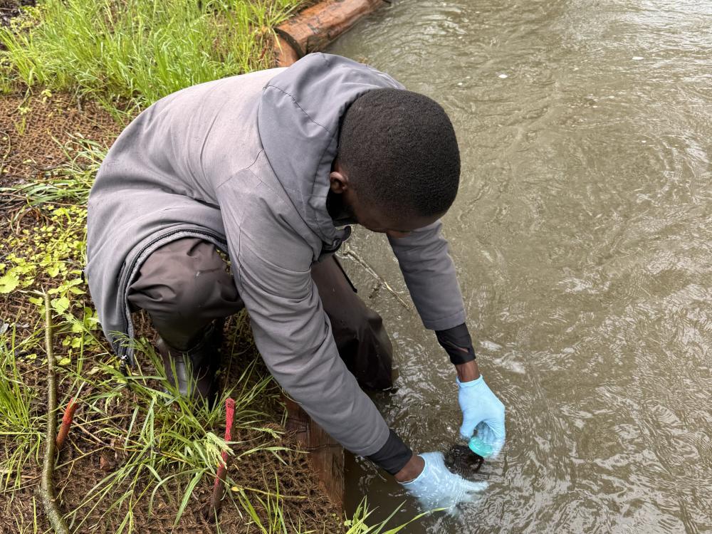 Person collecting water samples