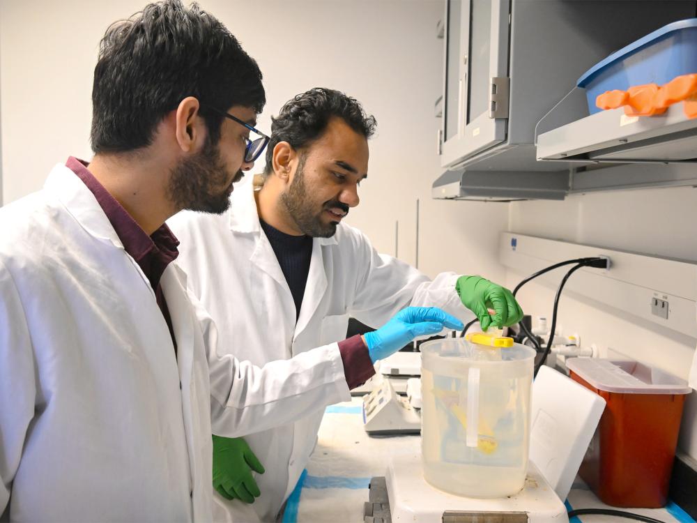 A professor of engineering science and mechanics and biomedical engineering helps a student in his lab.