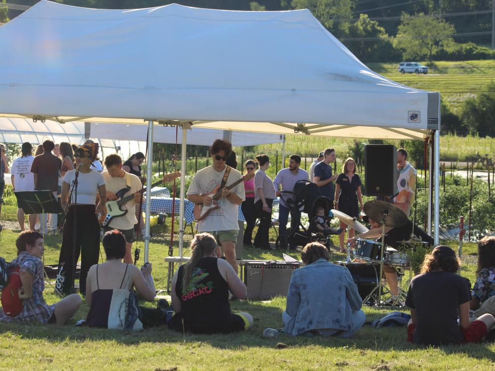 A band plays music to a crowd sitting in the grass