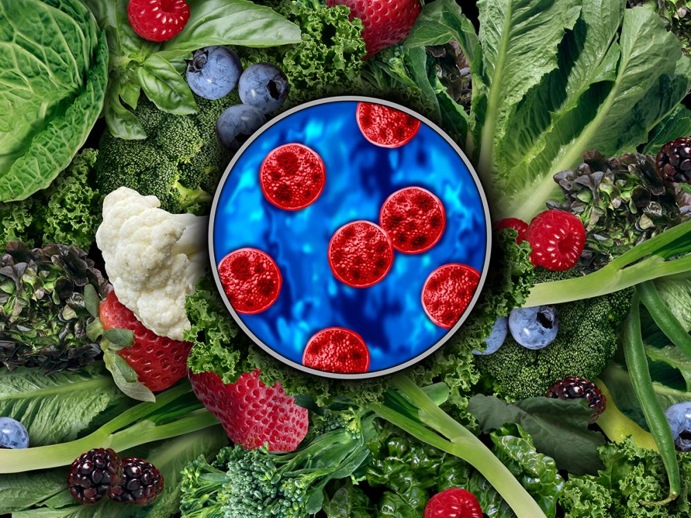 Cyclosporiasis parasite in Petri dish on top of leafy greens and berries.
