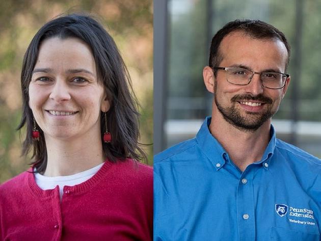 Land-Grant Fellows