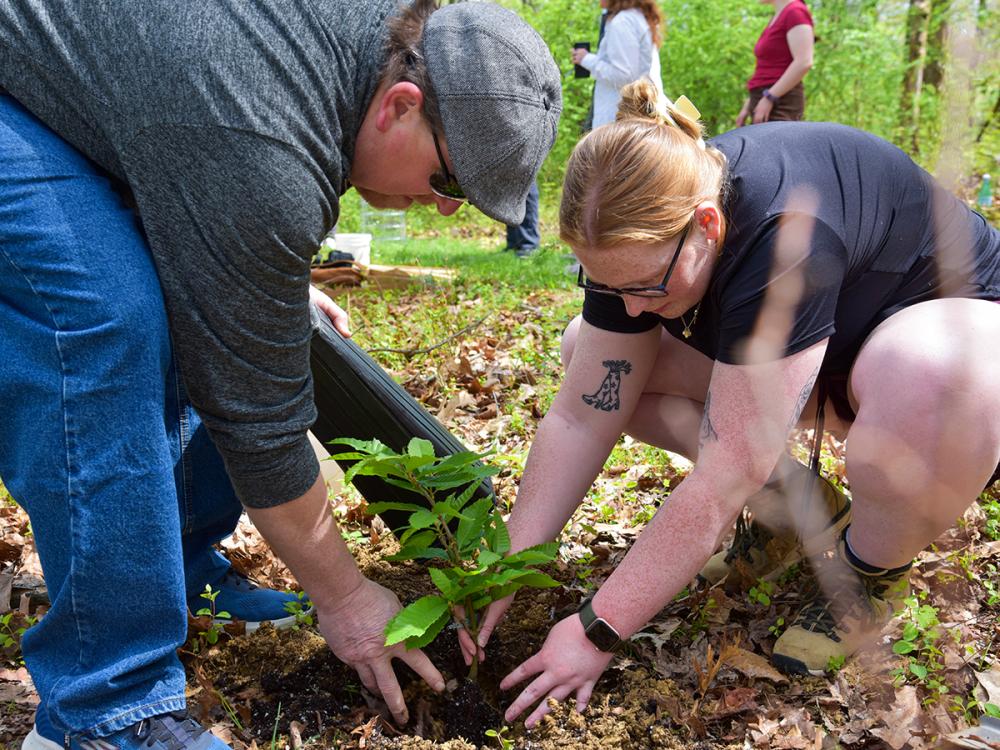 Falyn Verner and her father kneel together outdoors, planting a young tree in the soil.