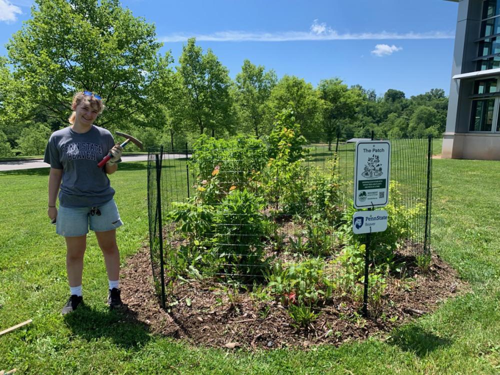 A student stands on a lawn next to a small forest patch that has not grown very tall yet