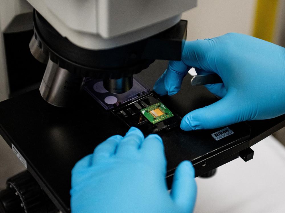 A photo taken in a lab shows a close up of two gloves hands interacting with a small, finger-size circuit board placed on the base of a microscope