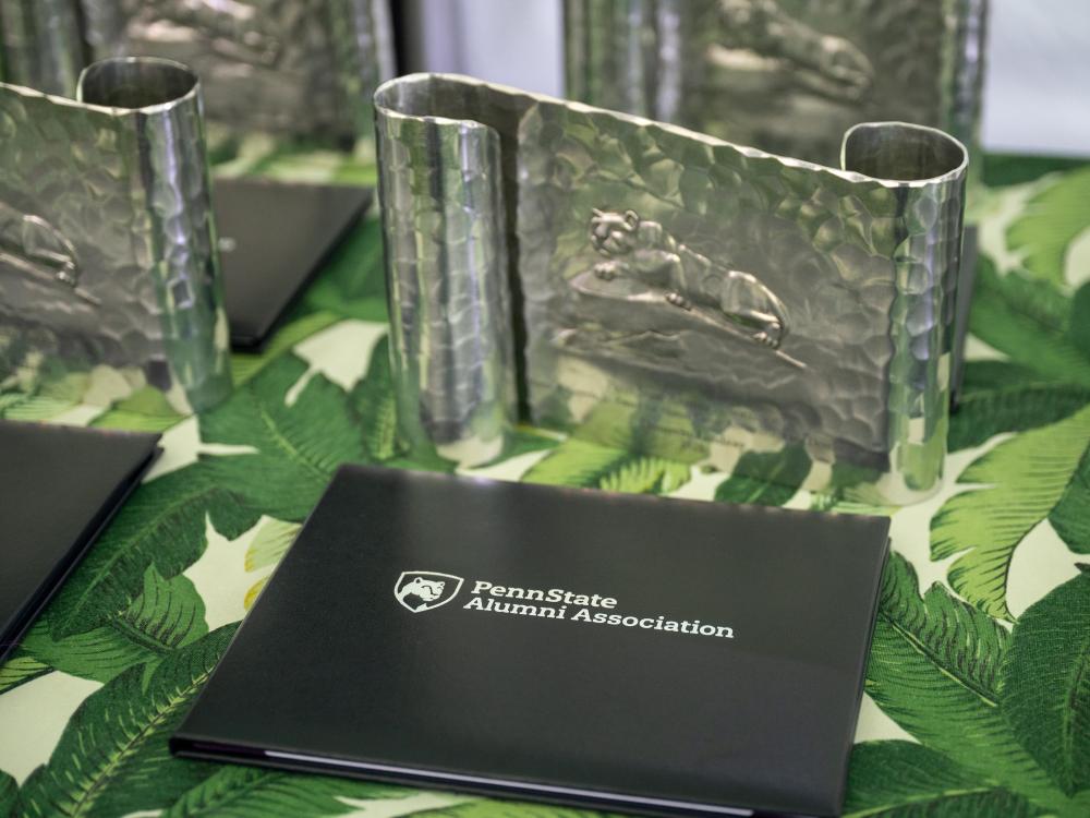 Volunteer Awards award