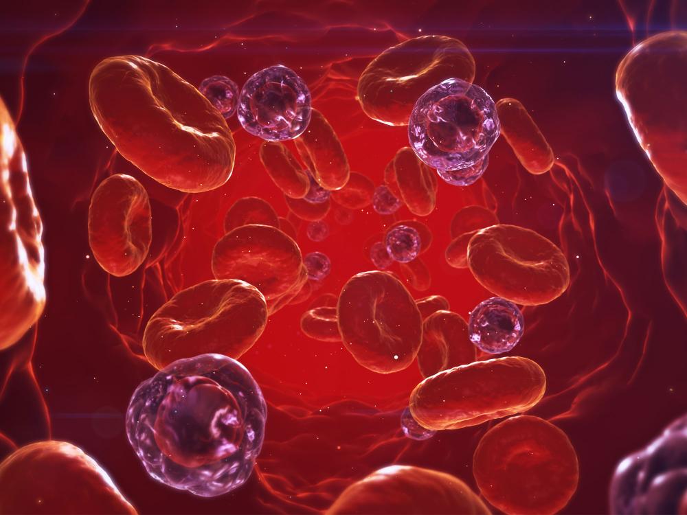 A 3D visualization of blood moving throught the body, with some cells appearing as infected cells among the standard red blood cells.