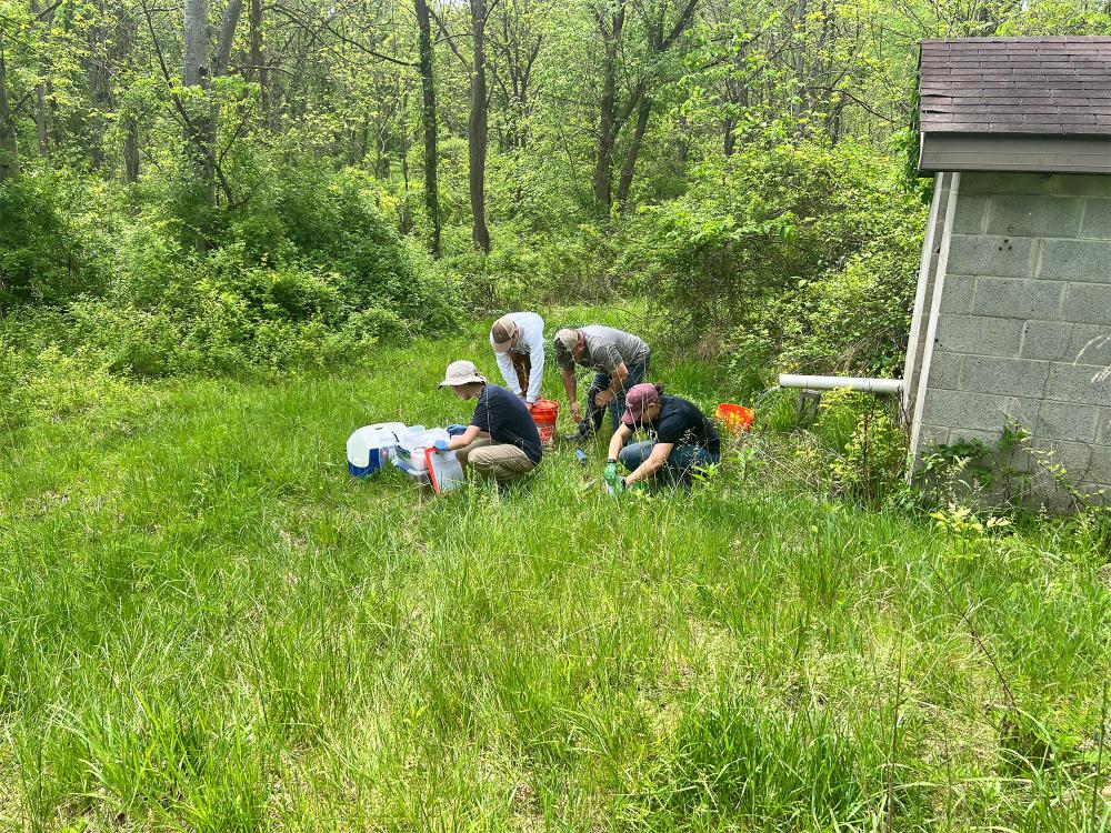 Four scientists are shown collecting samples from a groundwater well in a grassy field in front of a forest in Southwestern Pennsylvania