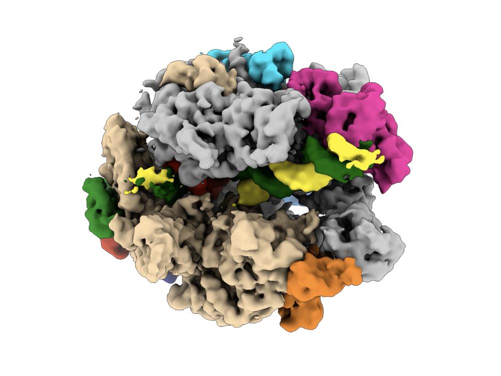 A 3D rendition of color-coded RNA