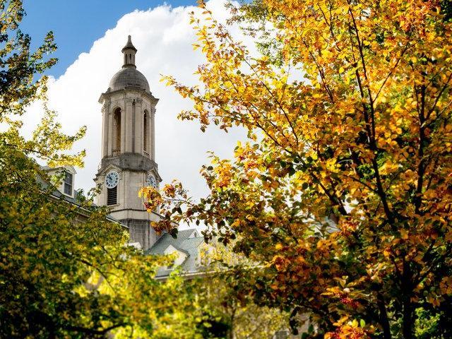 Falls leaves on campus