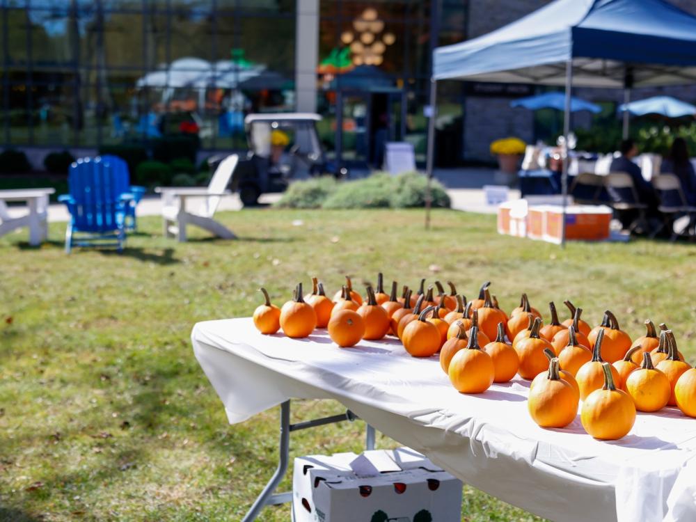 mini pumpkins lined up on a table outside the Student Union