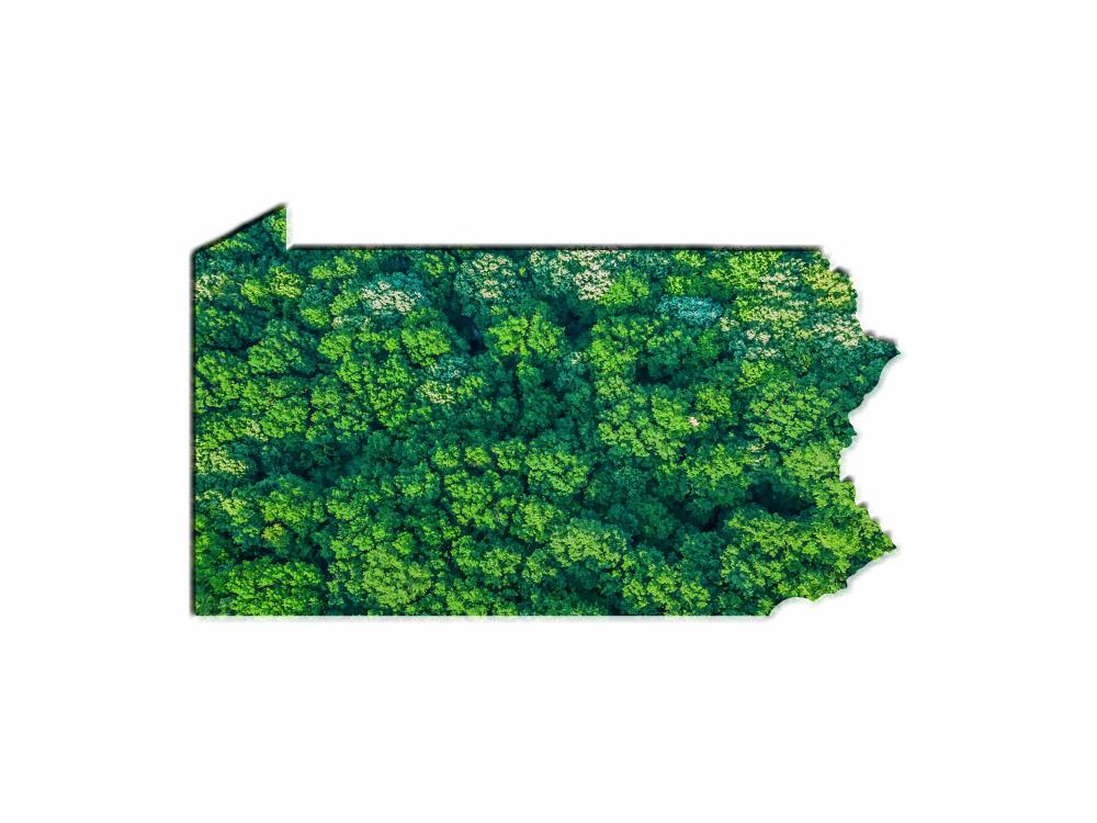 The shape of Pennsylvania completely encloses a forest