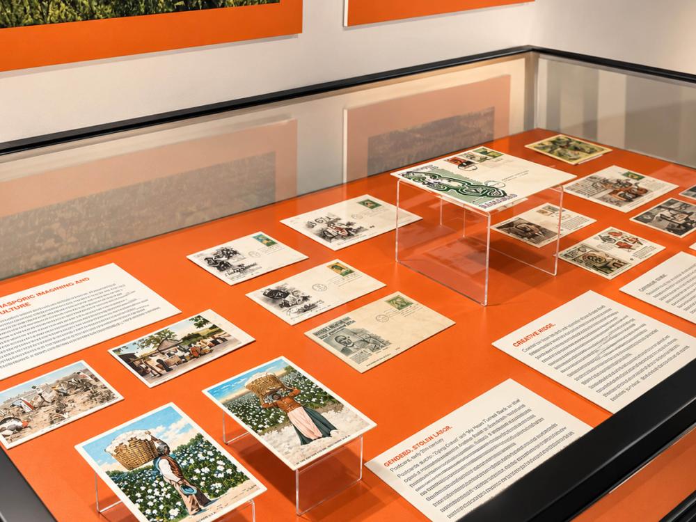 postcards and postage ephemera are shown in a display case with orange background