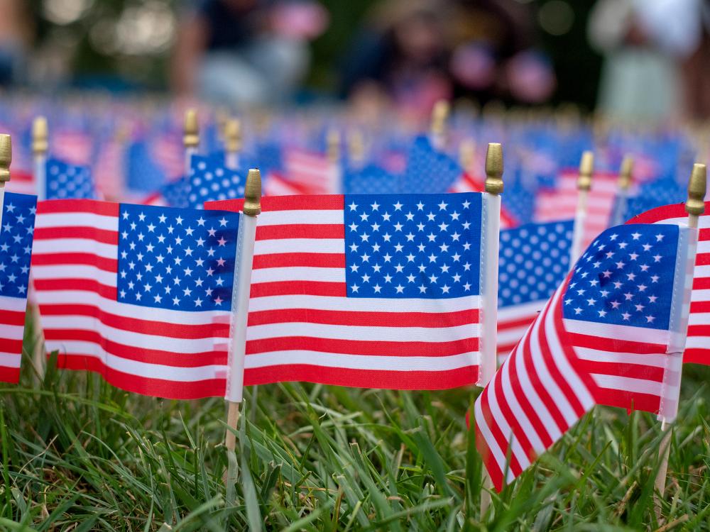 A close up of small American flags planted in a group in grass.