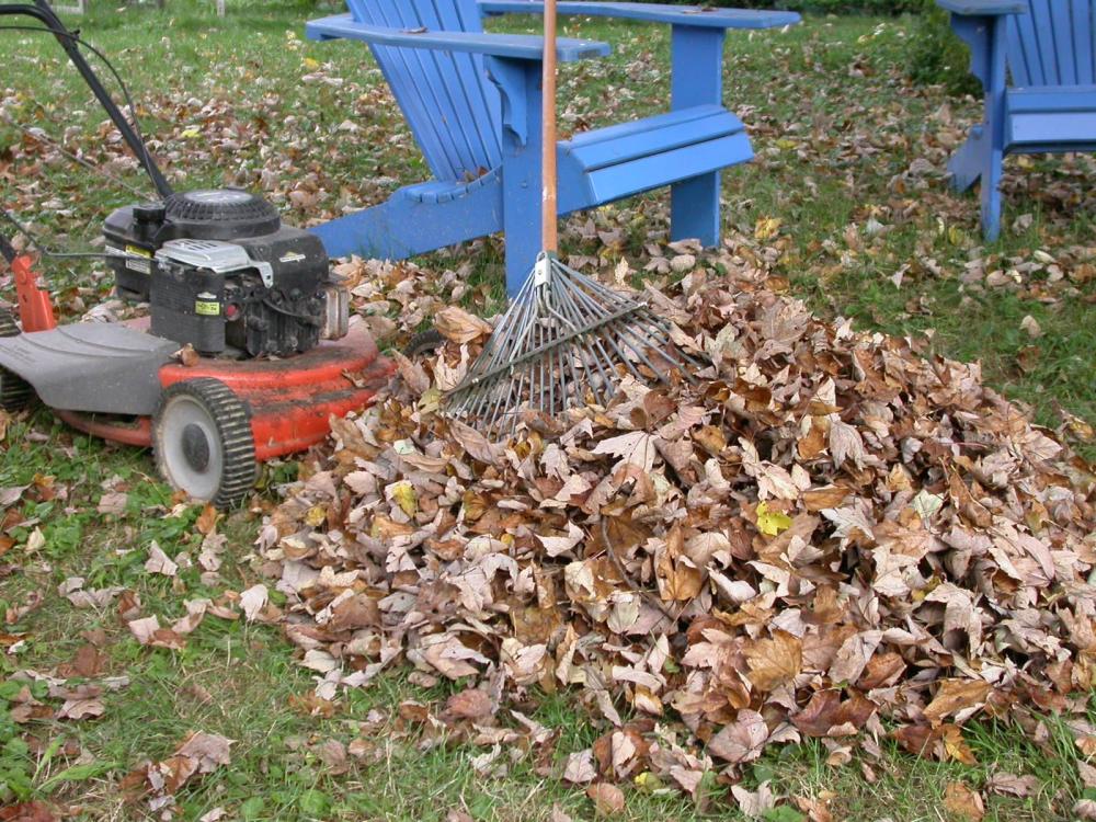 Leaves with lawn mower and rake