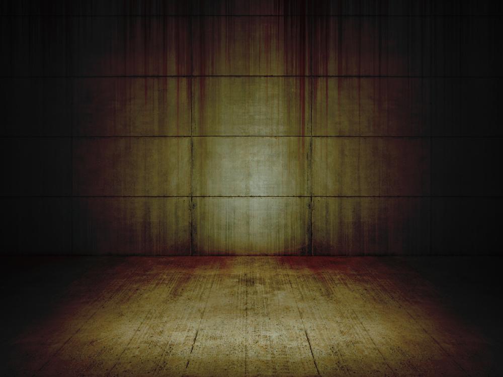 Empty dimly lit room with a wooden floor and a spotlight illuminating the back wall.