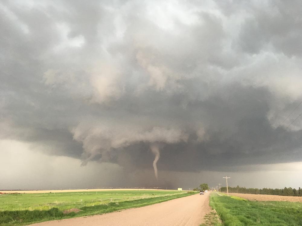A tornado and gray storm clouds are seen with a cornfield and dirt road in the foreground