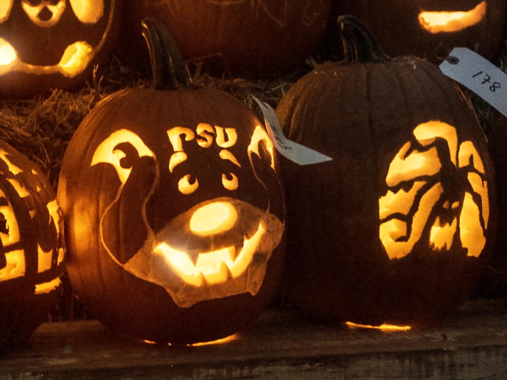 Jack O Lanterns at Arboretum