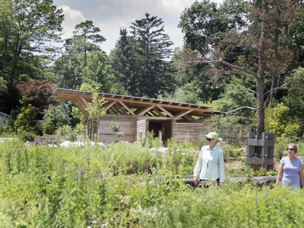 Bird House at Arboretum