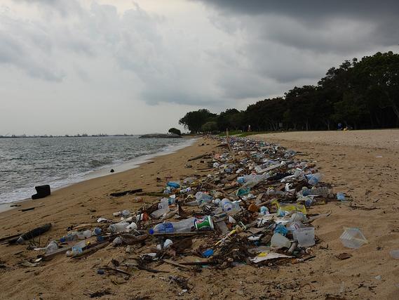 Litter on Singapore's East Coast Park