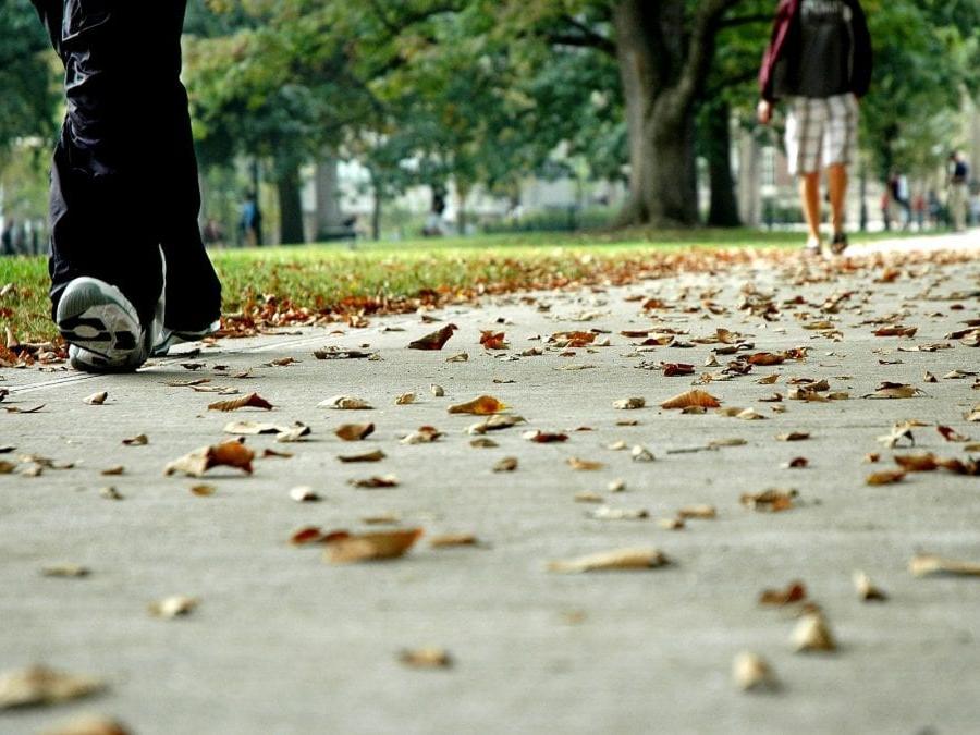 Leaves on the sidewalk on the Penn State mall