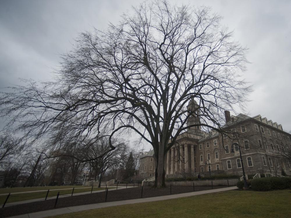 elm Old Main