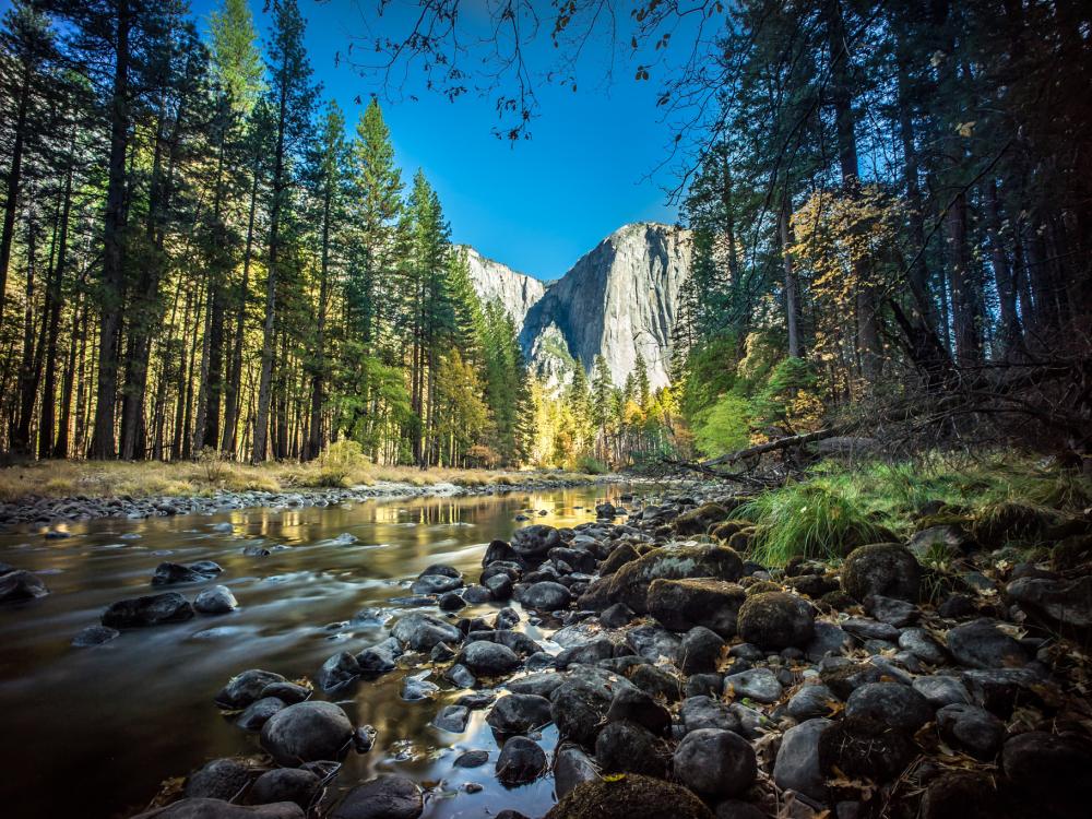 National Park Twitter