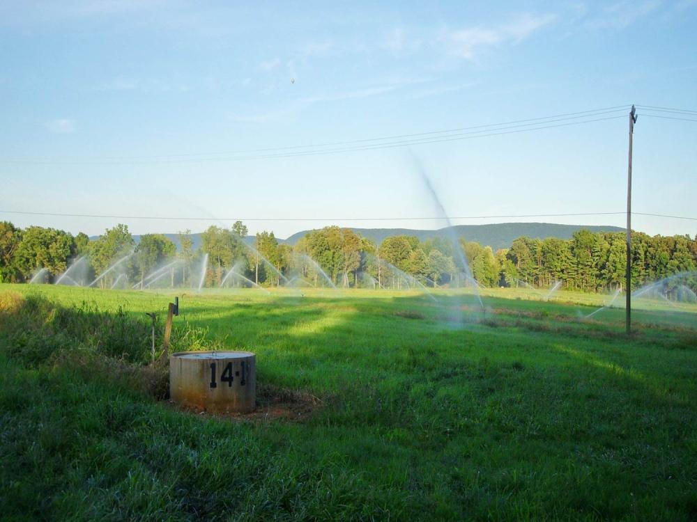 sprinklers at living filter