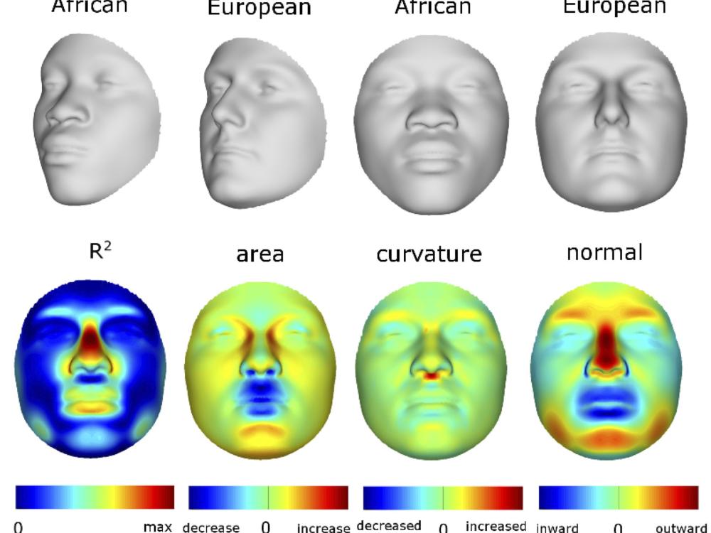 African to European face images