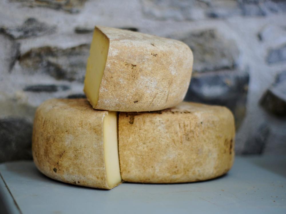 cheeses