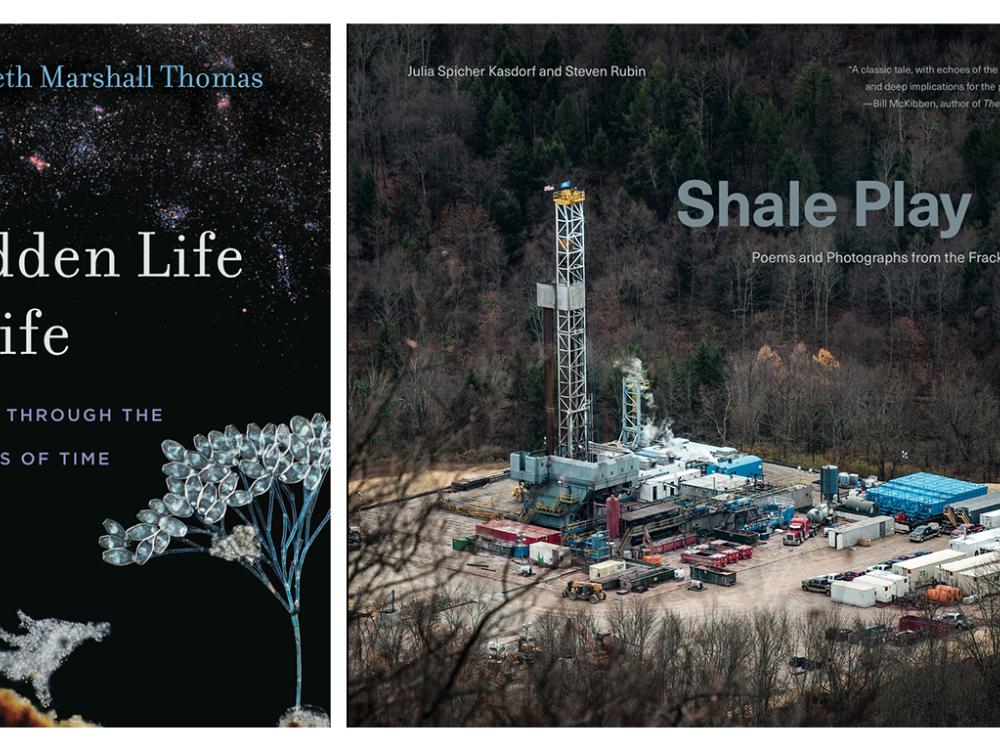 Penn State University Press book covers for Hidden Life and Shale Play