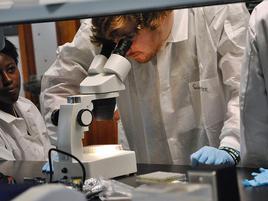 High schoool students study in Penn State Harrisburg lab