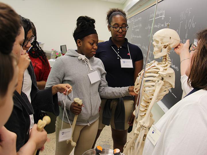 Students in their biology and chemistry workshops during the Conference