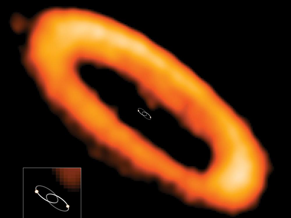 orange donut surrounds pair of stars