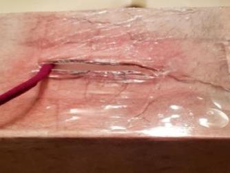 Nursing wound task trainer made out of household materials