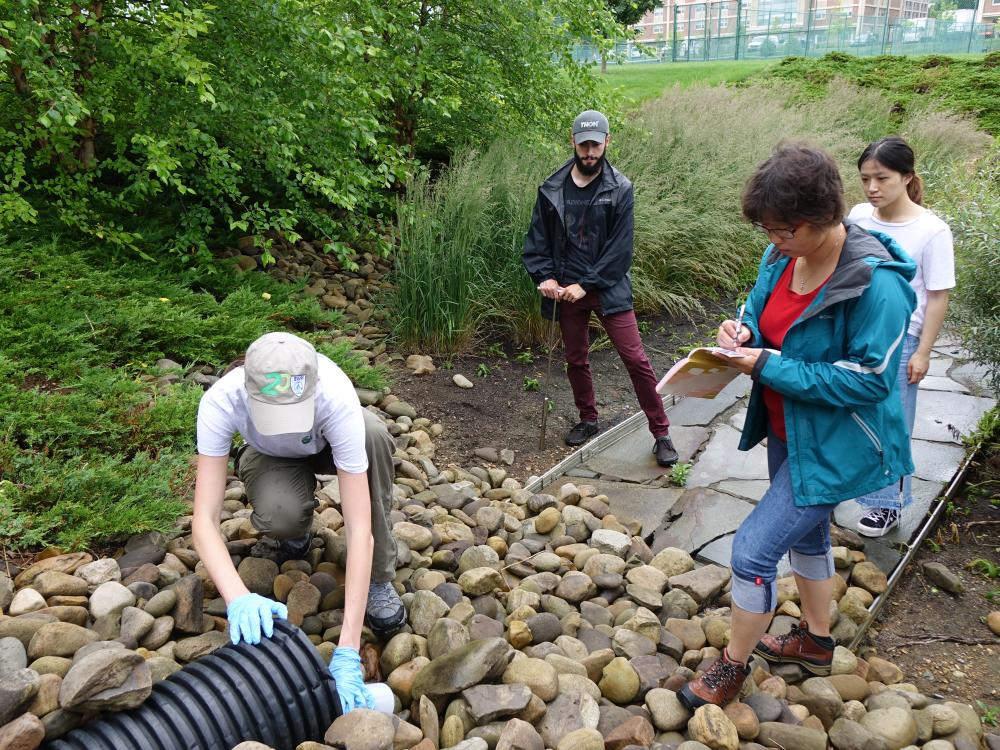 Penn State researchers taking water samples from a roof drain on the University Park campus