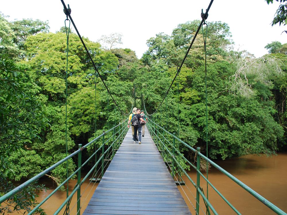 Penn State students cross a suspension bridge as they descend into the Costa Rican jungle.