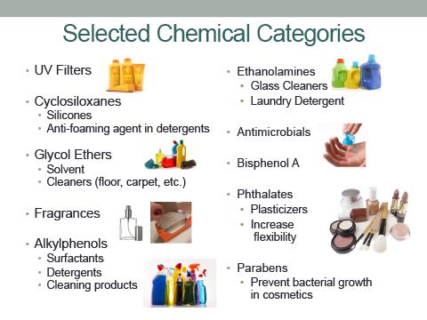 Endocrin disrupting compounds infographic