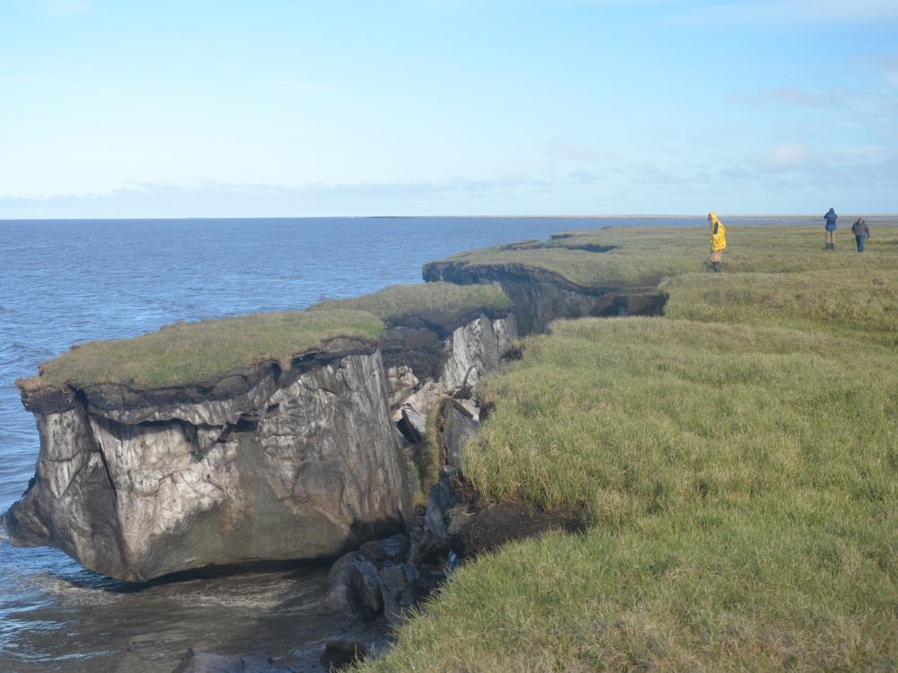 A large chunk of grassy land splits away from the coast, falling into the ocean. 