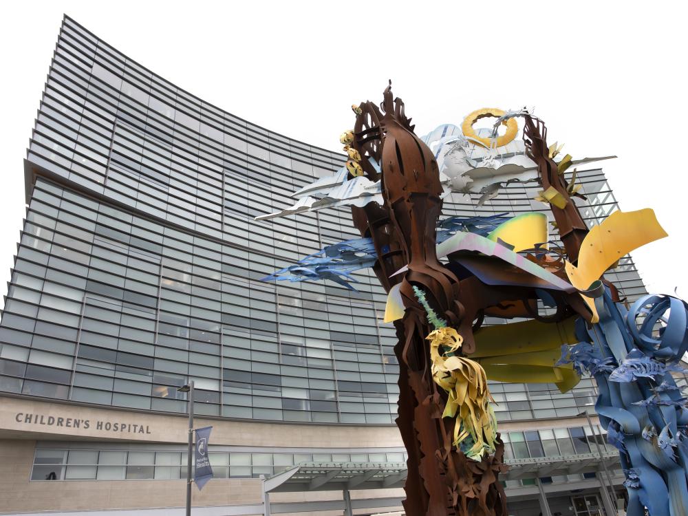 An photo of the exterior of Penn State Health Children's Hospital