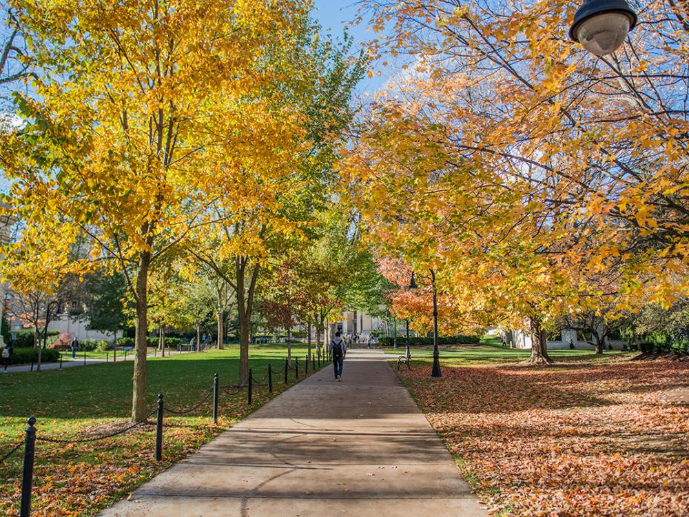 University Park Campus in fall