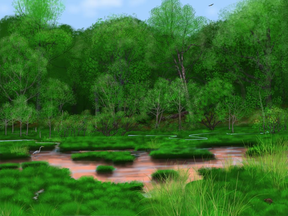 reconstruction of the pre-settlement landscape