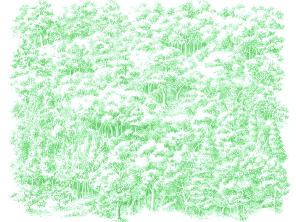 ALEC SPANGLER, Forest, 2017. Colored ink on paper, 9 x 11 in.