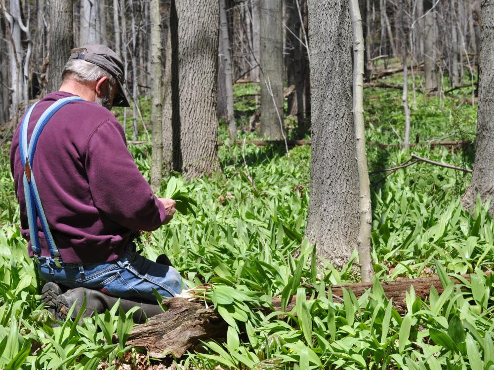 Ramps patch