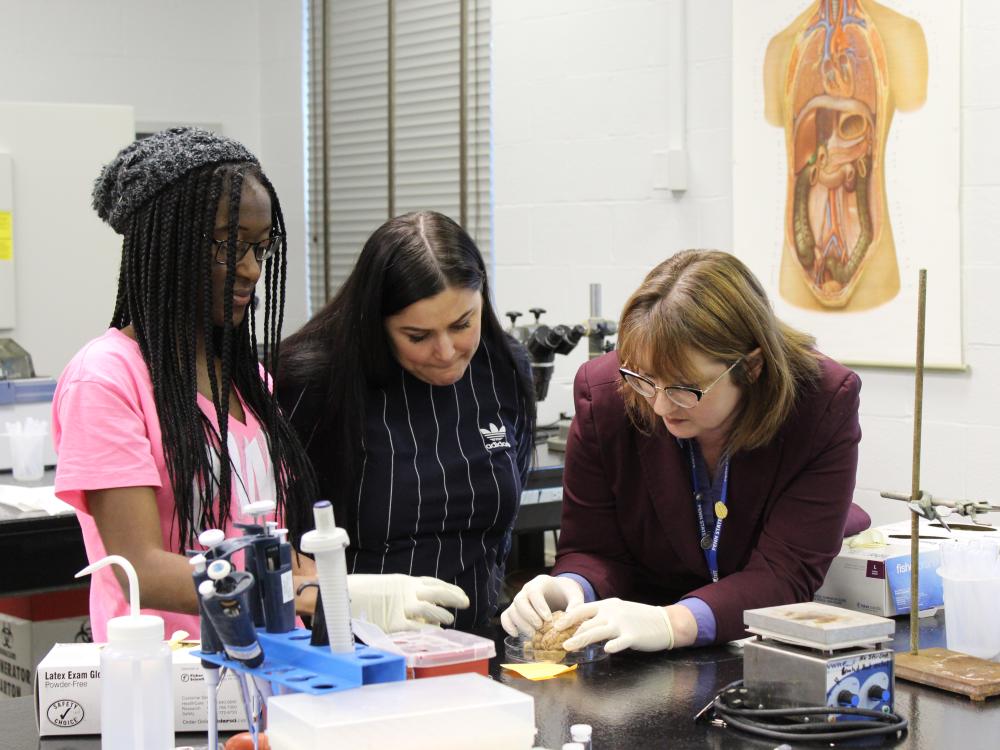 2 students standing next to teacher as they examine a sheep's brain.