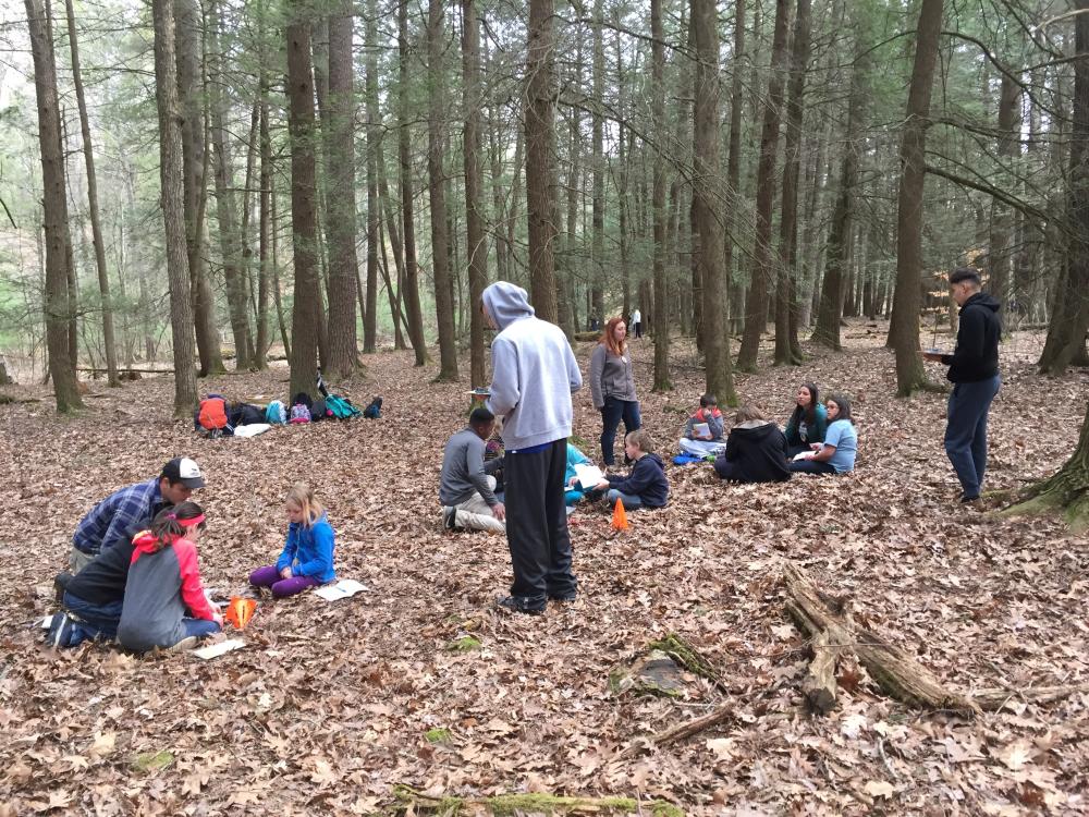 Students doing activity in the woods